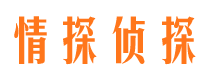 桃山侦探公司